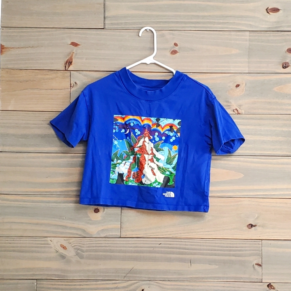 The North Face Rare Find COLOR BLOCK Cropped Top Graphic Short Sleeve T-Shirt sm